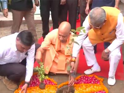 'Ek Ped Maa ke Naam': UP CM Yogi plants saplings at his official residence in Lucknow