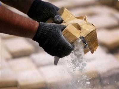 Shimla police bust inter-state drug racket, recover 169 grams of heroin