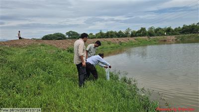 Fight against Malaria/ Dengue Mosquito-killer fish released by Animal Husbandry & Fisheries Department.