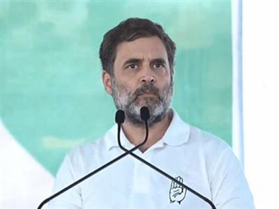 Haryana elections: Rahul Gandhi to campaign in Nuh, hold Vijay Sankalp rally