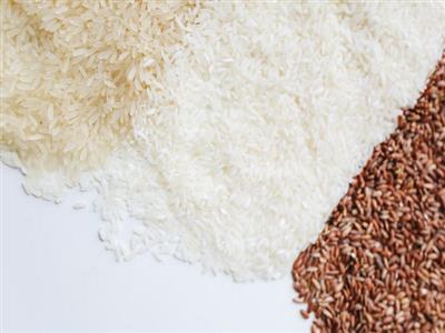 Union Cabinet approves continuation of free fortified rice supply across government schemes till 2028