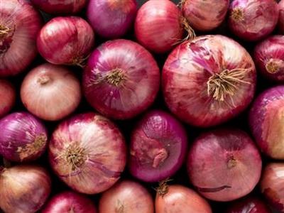 Second train with 840 metric tonnes of onion procured by NAFED arrives in Delhi