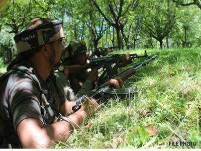 J-K: Encounter breaks out between security forces and terrorists in Bandipora