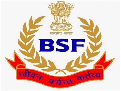 BSF Meghalaya foils smuggling bid; seizes cattle and contraband worth Rs31.13 lakh