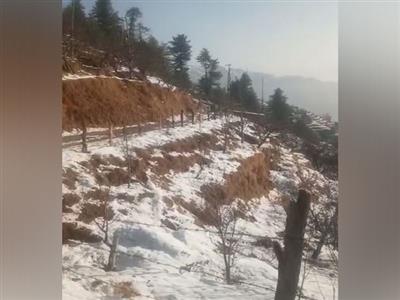 Shimla cold wave intensifies, all departments prepared to tackle adverse conditions, say authorities