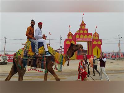 Maha Kumbh 2025: Camel rides from Rajasthan become a popular attraction at Prayagraj's Sangam