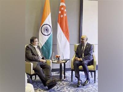 Nitin Gadkari discusses sustainable aviation fuel, green hydrogen with Singapore President Tharman