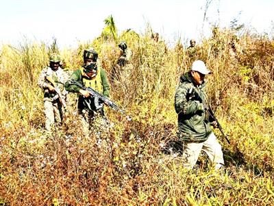 Security personnel conduct area domination, search operations in Manipur