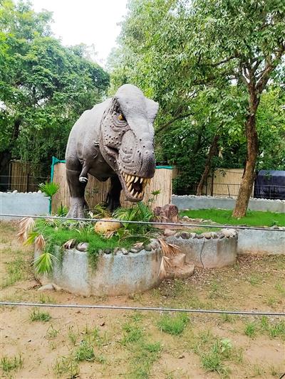 Country biggest & longest walk in aviary centre of attraction at Chhatbir Zoo