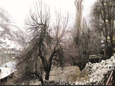 Himachal Pradesh: Lahaul and Spiti receive fresh spell of snow, IMD issues Orange alert for Chamba, Kangra, Kullu and Mandi