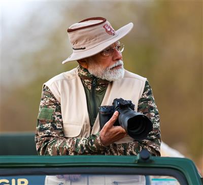 Gujarat: PM Modi goes on Lion Safari at Gir National Park on World Wildlife Day