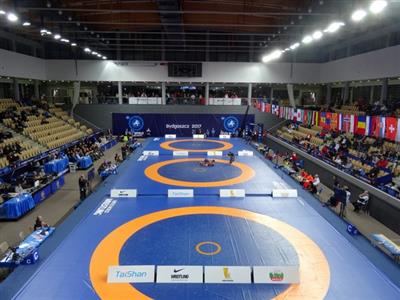 Sports Ministry lifts ban on Wrestling Federation of India