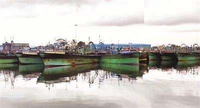 Tamil Nadu: Orange alert issued for Thoothukudi; heavy rains impact salt production, boats docked