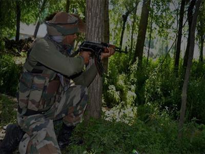 J-K: One terrorist killed in joint operation in Kupwara