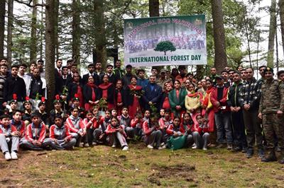 Plantation drive by 133 Eco task force for forest conservation